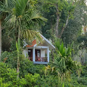 Homestay Dhanagiri Wayanad, Vythiri